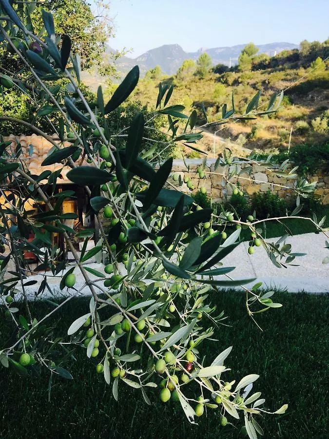 B&B Normanna Dolceacqua Bed and breakfast